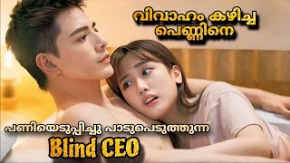 Romance with blind master 2023 Chineese drama Malayalam Explanation MOVIEMANIA25 [upl. by Nnairahs]