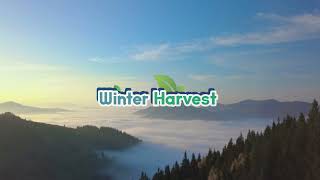 Winter Harvest [upl. by Katina]