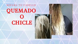 Recupera tu cabello QUEMADO [upl. by Goeselt]