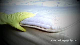 SteriFab Bed Bug Killer Review How to apply [upl. by Robbi]