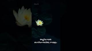 Alliyambal Kadavil  Whatsapp status  Vijay Yeshudas  Full screen Whatsapp status [upl. by Nico]