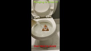 Fix Clogged Toilet no Plunge [upl. by Ahseinat905]