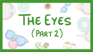 GCSE Biology Revision quotHow the Eye Focusesquot Triple [upl. by Eilyah]