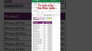 Sum with Filter Accurate totals even with filtered data in Excel [upl. by Randolf548]