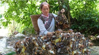 Vang Hoa goes into the green forest to earn money to cure stage 2 liver disease for zon [upl. by Siroval]