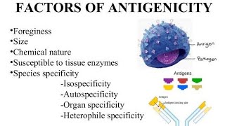 Antigenicity factors [upl. by Deonne738]