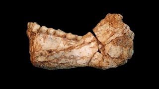 Five Fascinating Recent Discoveries About Human Origins [upl. by Moser622]