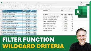 Excel FILTER Function with WILDCARD Criteria Partial Match Contains Begins With Ends With [upl. by Ailisab]