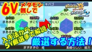 【ポケモンUSUM】６Vメタモン無しで個体値厳選の方法！厳選用メタモン入手から，個体値厳選まで！仲間連鎖 メタモン5 あかいいとの効果解説までこの動画で解説しています [upl. by Elak816]