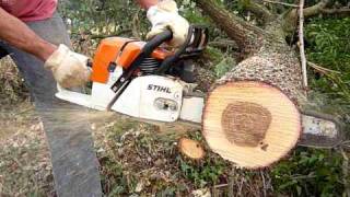 stihl ms 440 [upl. by Shriver661]