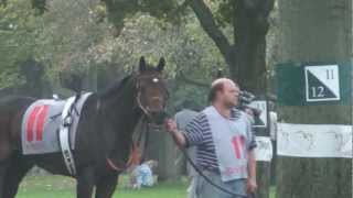 Horse Racing Track Keeneland Lexington Kentucky Sights and Sounds [upl. by Hutchison]