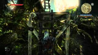 Lets play The Witcher 2 interaktiv blind 27 Armdrücken gegen Bart Schute german [upl. by Yelyk]