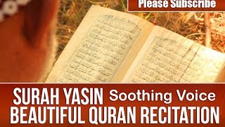 SURAH YASIN  سورة يس  Beautiful Quran Recitation  Soothing Voice SURAT YASEEN [upl. by Allimrac449]