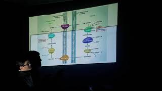 Biosintesis de Acidos Grasos y Eicosanoides Parte1 [upl. by Esinej]