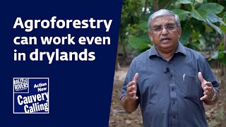 Agroforestry can work even in drylands [upl. by Avek610]