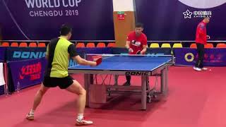 Ma Long amp Tomokazu Harimoto Training at the 2019 Mens World Cup [upl. by Attelocin]