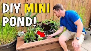 Making A Fancy DIY Patio Fish Pond w Aquaponics Filter [upl. by Opal]