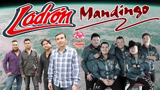 GRUPO LADRÓN ft MANDINGO  SUS MEJORES CANCIONES MIX ROMANTICAS 2023 [upl. by Clute629]