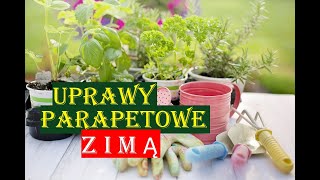 Top 5 najbardziej pyszne przetwory na zimę – świeże warzywa w sezonie na zimno  SmacznyTV [upl. by Ardra124]