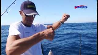 Italian Fishing Tv  Tubertini  Bolentino su relitto [upl. by Barrett]