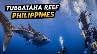 Tubbataha Reef Philippines UNESCO Coral Kingdom Dive into Pristine Paradise [upl. by Tynan]