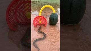 Survival Skills SIMPLE and USEFUL with eel trap camping bushcraft outdoors [upl. by Anaili]