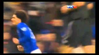 ►Mourane Fellaini◆ Goals and Skills◆ Everton 20112012 [upl. by Akihsal541]