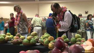 Video Bite Mango Luau at Fairchild Tropical Garden in Miami [upl. by Lalitta347]