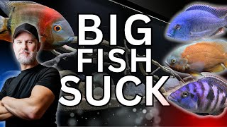 Whats Wrong With Keeping BIG AQUARIUM FISH [upl. by Assira]