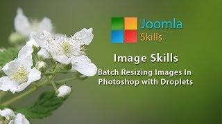 Photoshop Skills Resizing Images Using Droplets [upl. by Annovahs]