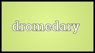 Dromedary Meaning [upl. by Balcke]