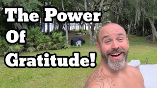 The Power Of Gratitude family diyhomestead chicken fun garden [upl. by Henriha]