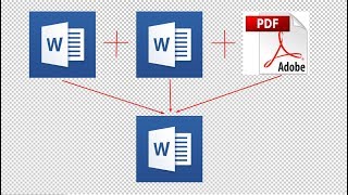 Mail merge to a PDF document using Microsoft Word pdf mergemerge to pdf [upl. by Cecilio]