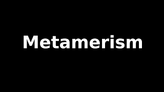 Metamerism [upl. by Divan]