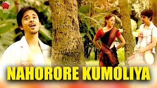 NAHORORE KUMOLIYA  BOHAGOT BIRINAR BIYA  ASSAMESE MUSIC VIDEO  ZUBEEN GARG  BIHU SONG [upl. by Polloch]