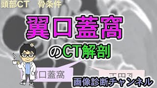 翼口蓋窩のCTにおける解剖、図 [upl. by Carolynn]