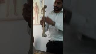 Side determination of FEMUR Bone bone osteology medical physiotherapy alamphysio [upl. by Zea]