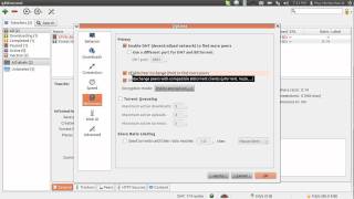 qBittorrent options [upl. by Wheaton]