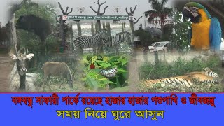 সাফারী পার্কে যেসব পশুপাখি ও জীবজন্তু রয়েছে দেখুন ভিডিওতে।safari park gazipur [upl. by Judson]