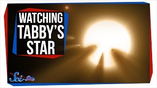 Why Everyone Was Watching Tabbys Star Last Weekend [upl. by Ael817]