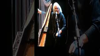 Andreas Vollenweider live at Standard bank Joy of Jazz 29th September 2023 Part 3 [upl. by Moffit]