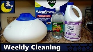 How to Clean Vicks Warm Steam Vaporizer  Disinfect amp Descale [upl. by Ellertal]