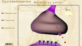 Pharmacology Video Cyclobenzaprine [upl. by Anilatak557]