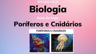 Biologia  Aula sobre o REINO ANIMAL Poríferos e Cnidários [upl. by Dasi]