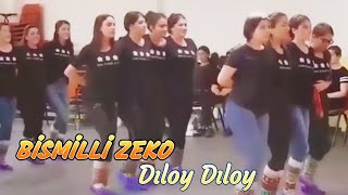 Bismilli Zeko  Dıloy DıloyHareketli Govend Halaylar [upl. by Tiloine703]