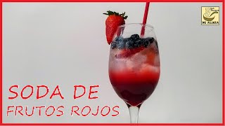 SODA SABORIZADA DE FRUTOS ROJOS  RECETAS COLOMBIANAS [upl. by Refinnej35]