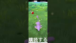 RATTATA PokemonJourney PokemonGo Pokemon pokemongocommunity [upl. by Nimsaj]