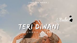 Teri Deewani  Slowed Reverb  Lofi Songs  Feelers Music [upl. by Pius796]