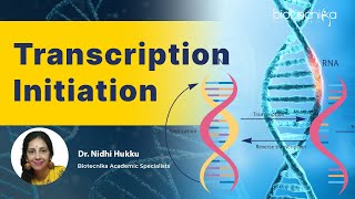 Important Lecture For CSIR NET amp GATE Exams  Transcription Initiation [upl. by Aronaele]