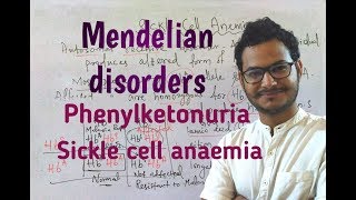 Mendelian disorders Phenylketonuria and Sickle cell anaemia [upl. by Eca]